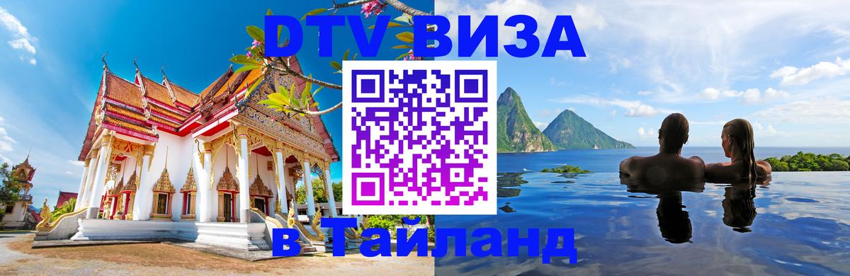 Сколько стоит DTV виза — актуальные цены, оформление даже без документов - 19.11.2025 